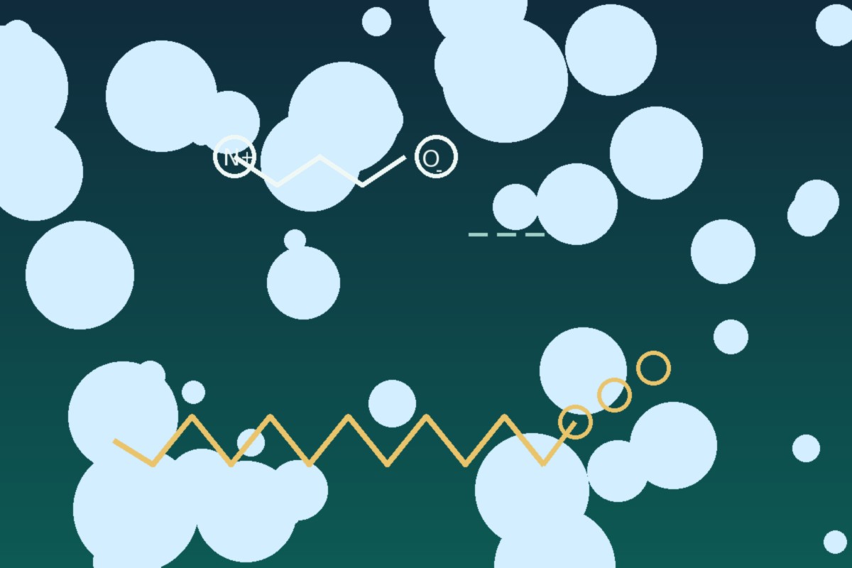 Lysine and monolaurin pairing concept — cationic amino acid and amphipathic lipid — Panacea Bio Chem
